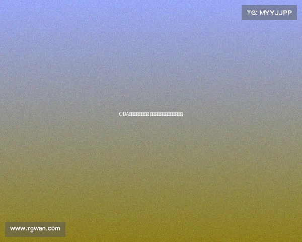 CBA最新数据榜单解析 球员表现亮眼团队战力大揭秘